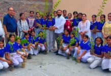 Yamunanagar Municipal Corporation to Plant 2,700 Saplings Under ‘Ek Ped Maa Ke Naam’ Campaign