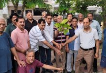 Green Park Welfare Association Launches Tree Plantation Drive, Pledges Long-Term Care of Saplings 5