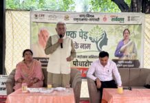 Yamunanagar Launches ‘Ek Paudha Maa Ke Naam’ Campaign, Aims to Plant 2,700 Saplings Across City d