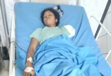 Woman Killed, Another Loses Arm After Speeding Hydra Hits Pedestrians in Yamunanagar; Toddler Escapes Unhurt