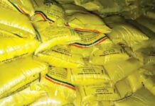 Truck Carrying 450 Bags of Agricultural Urea Seized in Yamunanagar; Driver Flees 1
