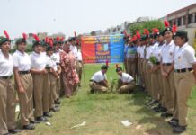 DAV Girls College NCC Cadets Launch Tree Plantation Drive to Promote Environmental Conservation