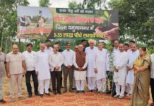 Haryana Intensifies Green Drive as Forest Festival Reaches Yamunanagar; 10,000 Saplings Planned for Safilpur X