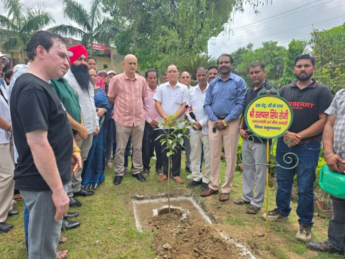 Plantation drive organised by Hindu Girls College and Shivaji Press Club in Jagadhri