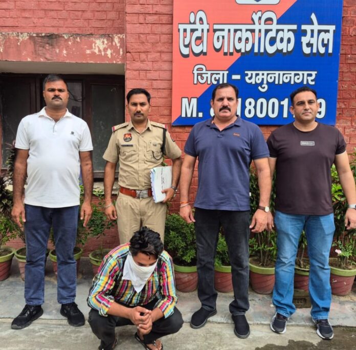 Yamunanagar Anti-Narcotic Cell arrests youth with 250 grams of opium near Kapal Mochan under NDPS Act.