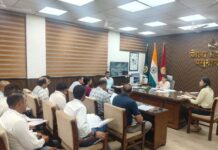 Good Governance: DC Preeti Reviews Development Schemes, Directs Officials to Ensure Timely Delivery S