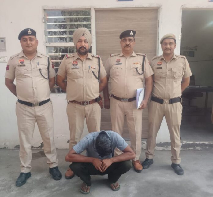 Yamunanagar Police arrest accused in earring snatching case and recover stolen jewellery.