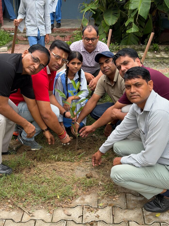 Plantation-1.jfif (1) C