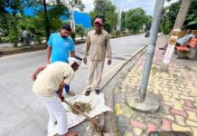 Yamunanagar Civic Body Launches Special Clean-Up Drive After 36-Day Sanitation Workers’ Strike Ends Municipal Corporation sanitation workers clearing garbage during special cleanliness drive in Yamunanagar