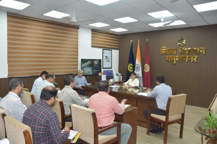 Deputy Commissioner Preeti reviewing pollution control and water management works