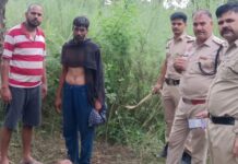 One Arrested After Alleged Cow Slaughter Reported in Kanyawala Forest, Yamunanagar Police and cow protection group members during a joint operation in Kanyawala forest, Yamunanagar, after a reported cow slaughter incident