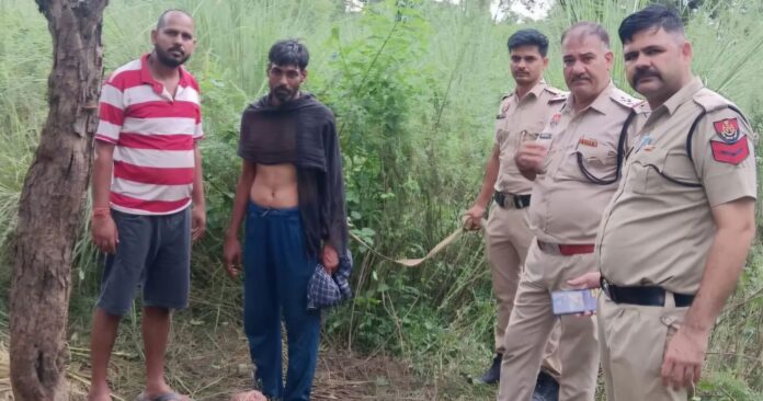 Police and cow protection group members during a joint operation in Kanyawala forest, Yamunanagar, after a reported cow slaughter incident