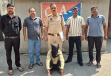Yamunanagar Police Arrest One in Housing Board Murder Case as Two Proclaimed Offenders Are Held Yamunanagar Police arrest Raj Kumar alias Lukka in Housing Board Sector 18 murder case