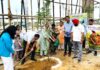 Kail Plant Sees 2,000-Sapling Green Drive Under Swachhata Hi Seva Yamunanagar Municipal Corporation councillors and officials plant saplings at Kail waste processing plant