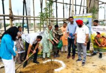 Kail Plant Sees 2,000-Sapling Green Drive Under Swachhata Hi Seva Yamunanagar Municipal Corporation councillors and officials plant saplings at Kail waste processing plant