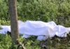 Man Found Dead in Field Near Jadhar Village in Yamunanagar, Head Injury Raises Suspicion Body of a man found in a field near the cremation ground in Jadhar village Yamunanagar