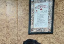 Vyasapur SDM Urges Residents to Use Monday, Thursday Samadhan Shivir for Timely Redressal F