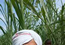 Shyam Sundar Batra Surveys Weather-Hit Farms in Yamunanagar, Seeks Relief for Farmers Congress leader Shyam Sundar Batra meets farmers after storm and rain damage to sugarcane and paddy crops in Yamunanagar