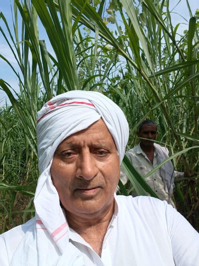Congress leader Shyam Sundar Batra meets farmers after storm and rain damage to sugarcane and paddy crops in Yamunanagar