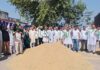 INLD Raises Paddy Procurement Issues at Jagadhri Grain Market INLD leaders discuss paddy procurement issues with farmers at Jagadhri New Grain Market