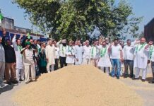 INLD Raises Paddy Procurement Issues at Jagadhri Grain Market INLD leaders discuss paddy procurement issues with farmers at Jagadhri New Grain Market